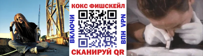 Кокаин FishScale  Купить закладки  Нижняя Салда 