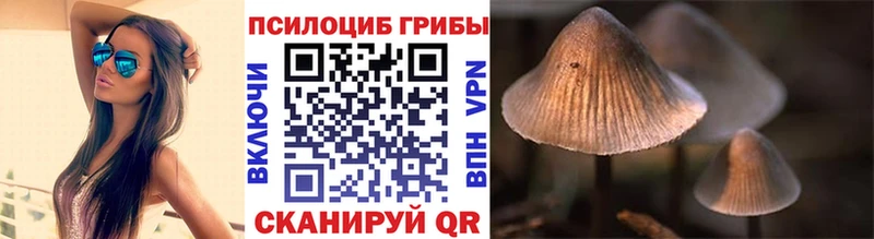 Галлюциногенные грибы мицелий Нижняя Салда