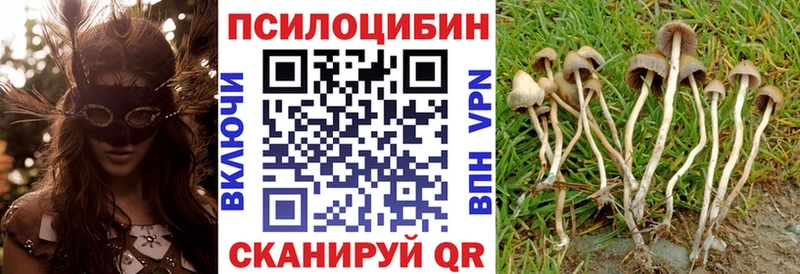 Псилоцибиновые грибы Psilocybe  Купить где  Нижняя Салда 